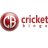 Cricketbinge
