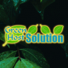 GreenHostSolution ☙ (US/EU/CA) ☙ cPanel/Litespeed ☙ NVMe SSD ☙ 10% OFF FOR LIFE